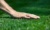 Weed Man Lawn Care Coupons  Deals
