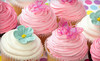 Krazy Kool Cupcakes Coupons Memphis, Tennessee Deals
