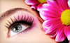 The Beauty Centre Spa Coupons Brandon, Florida Deals