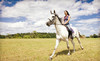 Stone River Farms Coupons Weatherford, Texas Deals