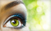 Forever Trim Coupons Orlando, Florida Deals