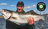 North Star II Fishing & Charter Boat Coupons Babylon, New York Deals