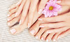 Divine Creations Boutique & Spa Coupons Rockford, Illinois Deals