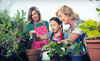 Walnut Grove Nursery Coupons Louisville, Kentucky Deals