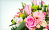 Brick Flower Market Coupons Brick, New Jersey Deals