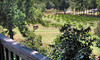 Treehouse Vineyards Coupons Monroe, North Carolina Deals