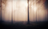 Columbia Interactive Ghost Tours Coupons Columbia, South Carolina Deals