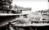 LesleyAnn Photography Coupons Fort Langley, British Columbia Deals