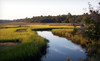 White Ibis Tours Coupons St. Augustine, Florida Deals