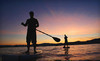 Wayward Captain Paddleboards Coupons Newport Beach, California Deals