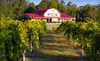 Gregory Vineyards Coupons Angier, North Carolina Deals