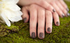 Pink Lime Salon & Spa Coupons Calgary, Alberta Deals