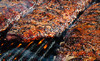 Marty's Bar-B-Q Coupons Kansas City, Missouri Deals