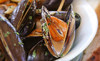 Calabria Restaurant Coupons Toronto, Ontario Deals
