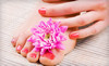 Alante Salon and Spa Coupons Rockwall, Texas Deals