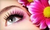 Exquisite Nail Boutique Coupons Chicago, Illinois Deals