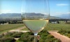 Learn Vino Coupons Middleton, Wisconsin Deals