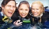 Deep Blue Scuba & Swim Center Coupons Long Beach, California Deals