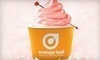 Orange Leaf Coupons Ellisville, Missouri Deals