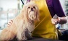 The Barking Lot Coupons Stockton, California Deals