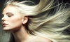 Vincent Palumbo Salon Coupons Westport, Connecticut Deals