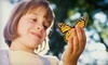 The Butterfly Charities Coupons Brick, New Jersey Deals