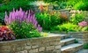 Tiffany Lawn & Garden Coupons Indianapolis, Indiana Deals