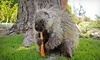 Wildlife Learning Center Coupons Sylmar, California Deals