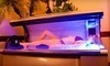 Hollywood Tans Coupons New Rochelle, New York Deals