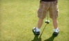 Michael Camastro Golf Academy Coupons Lockport, Illinois Deals