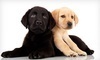 Man's Best Friend Coupons Grand Prairie, Texas Deals