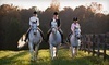 A&T Equestrian Coupons Surrey, British Columbia Deals