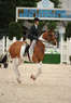 Devon Horse Show & Country Fair Coupons Devon, PA Deals
