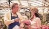Koetsier's Greenhouse Coupons Grand Rapids, Michigan Deals