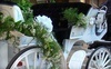 Oklahoma Premier Carriage Company Coupons Oklahoma City, Oklahoma Deals