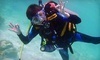 Ultimate Dive and Travel Coupons Scottsdale, Arizona Deals