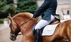 Turning Point Show Stables Coupons East Kingston, New Hampshire Deals