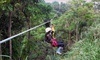Botanical World Coupons Hakalau, Hawaii Deals