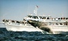 Cape Ann Whale Watch Coupons Gloucester, Massachusetts Deals