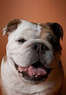 BarkZone Coupons Hillsboro, OR Deals