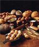 Egypt Star Bakery Coupons White Hall, PA Deals
