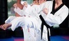 Martial Arts World Coupons Orlando, Florida Deals