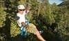 Full Blast Adventure Center Coupons Durango, Colorado Deals