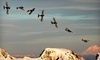 Canadian Flight Centre Coupons Kamloops, British Columbia Deals