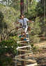 TreeUmph! Adventure Course Coupons Lakewood Ranch, FL Deals