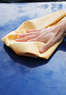 Roseville Auto Spa Coupons Roseville, CA Deals