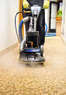 Carpet Action Team Coupons  Deals