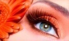 Loving Lash Coupons New York, New York Deals