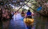 Shan-T Native Kayak Tours Coupons Palmetto, Florida Deals