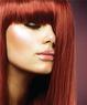 SALON D.A.S. Coupons Holland, PA Deals